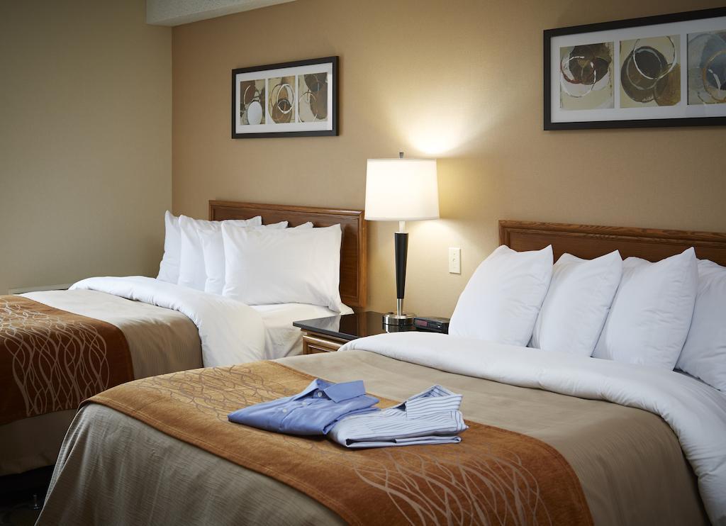 Comfort Inn Hamilton Luaran gambar