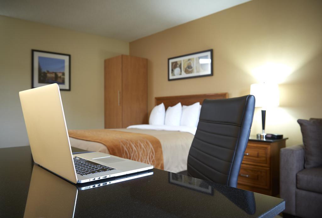 Comfort Inn Hamilton Luaran gambar
