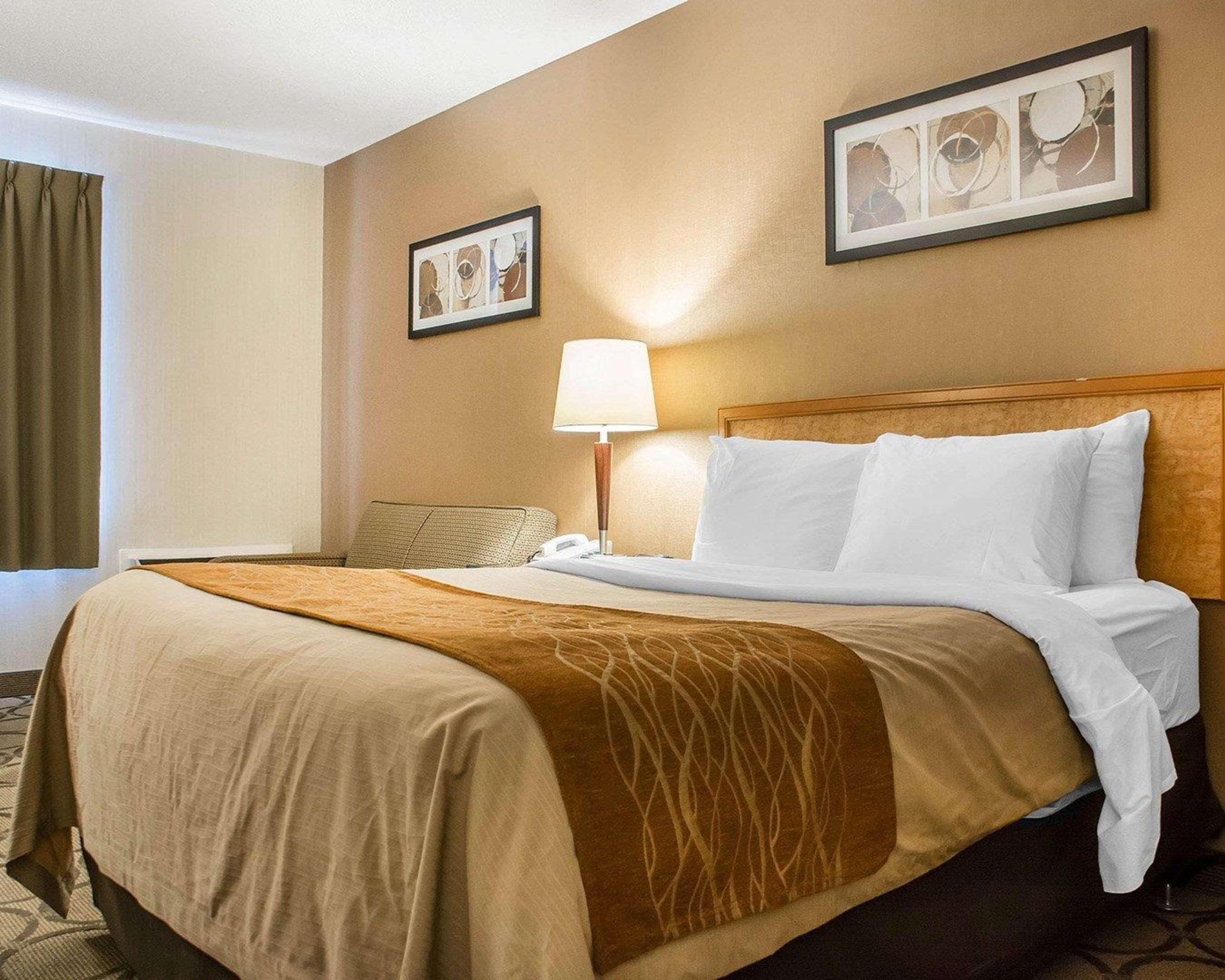 Comfort Inn Hamilton Luaran gambar